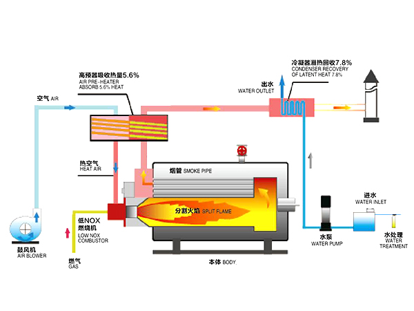 冷凝蒸汽锅炉结构图
